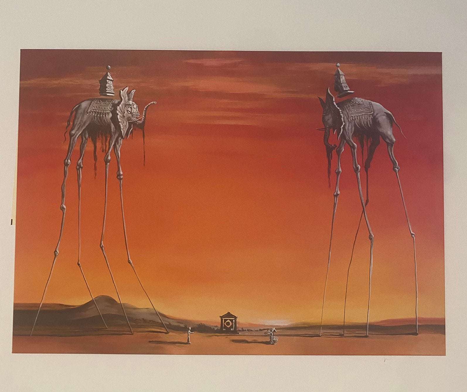 Présentoir Salvador Dali, Enlèvement ou Envoi, Rectangulaire horizontal, A1 jusqu'à A3, Utilisé