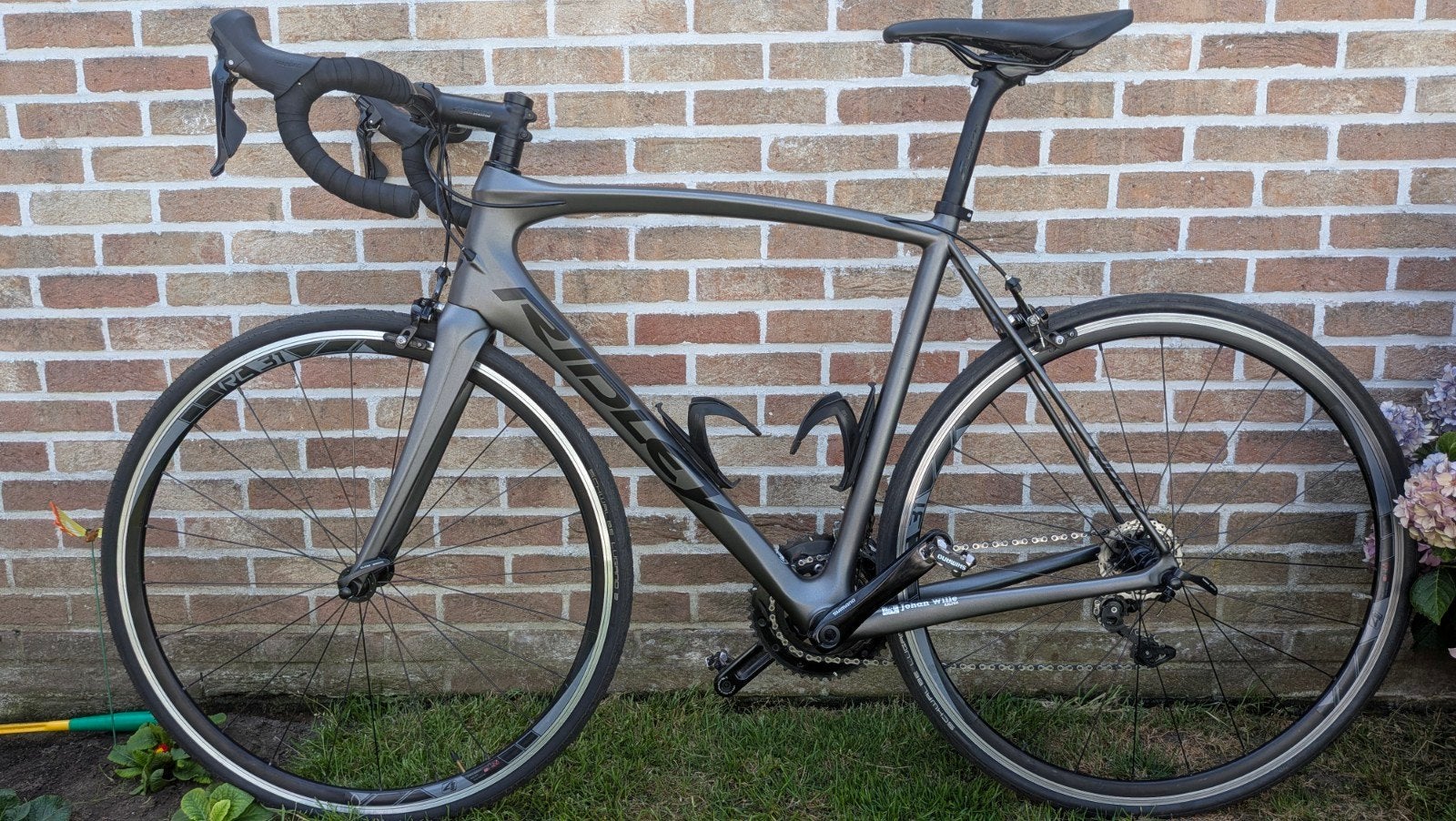Ridley, Ophalen of Verzenden, Carbon