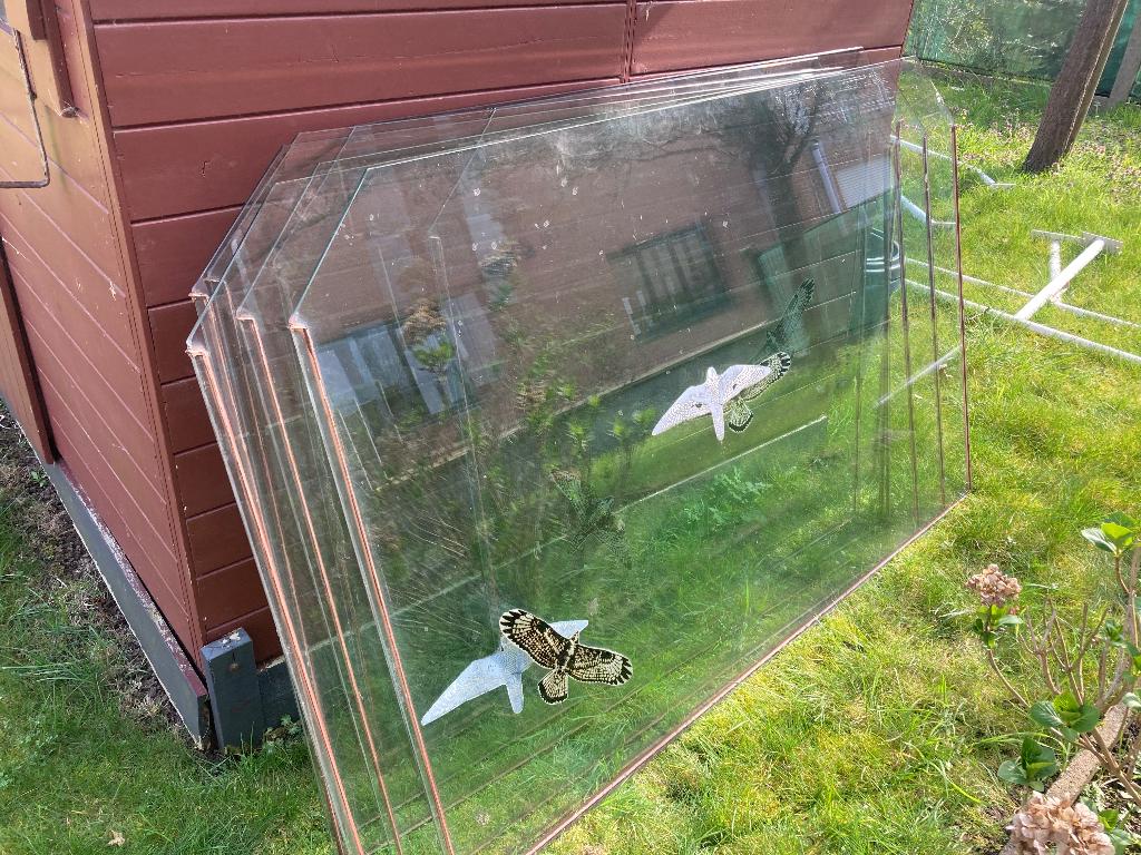 Ruiten glas 7mm dik, Ophalen, Gebruikt, 100 tot 150 cm, 100 tot 150 cm