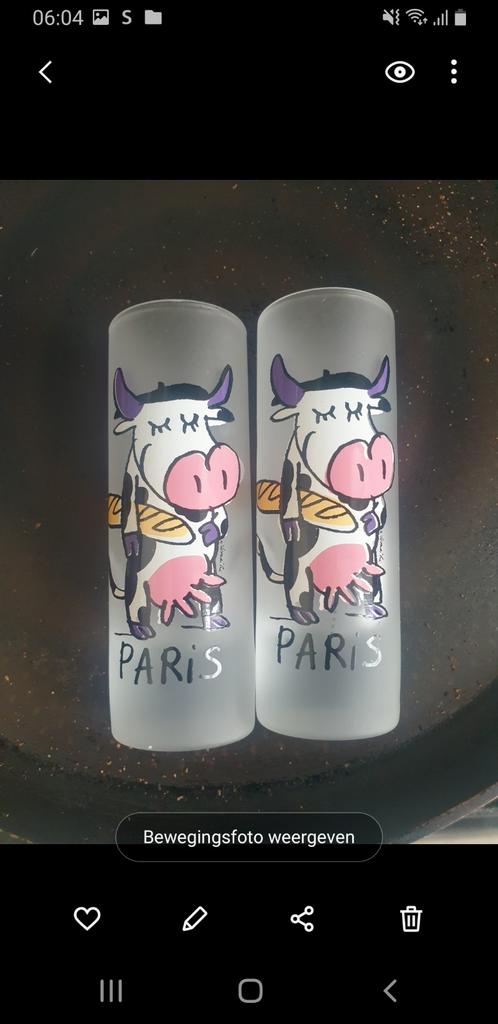 Lunettes et souvenirs de Paris, Enlèvement