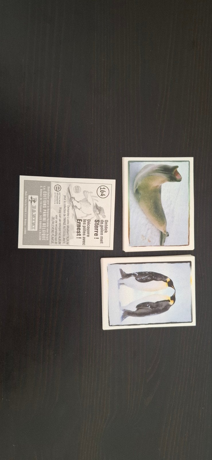 panini découvre les pôles avec Ernest, Enlèvement ou Envoi