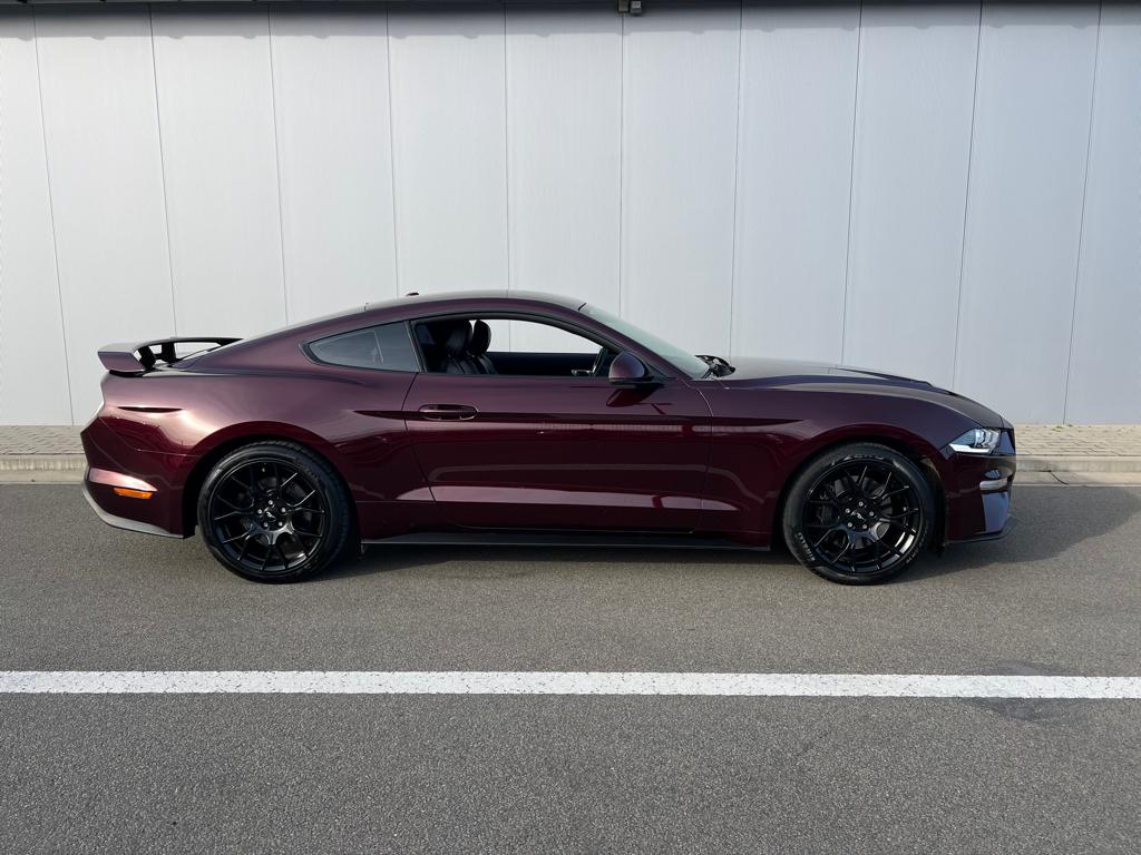 Mustang 2.3 Ecoboost, Autos, Ford, Cuir, Achat, Entreprise, Boîte manuelle