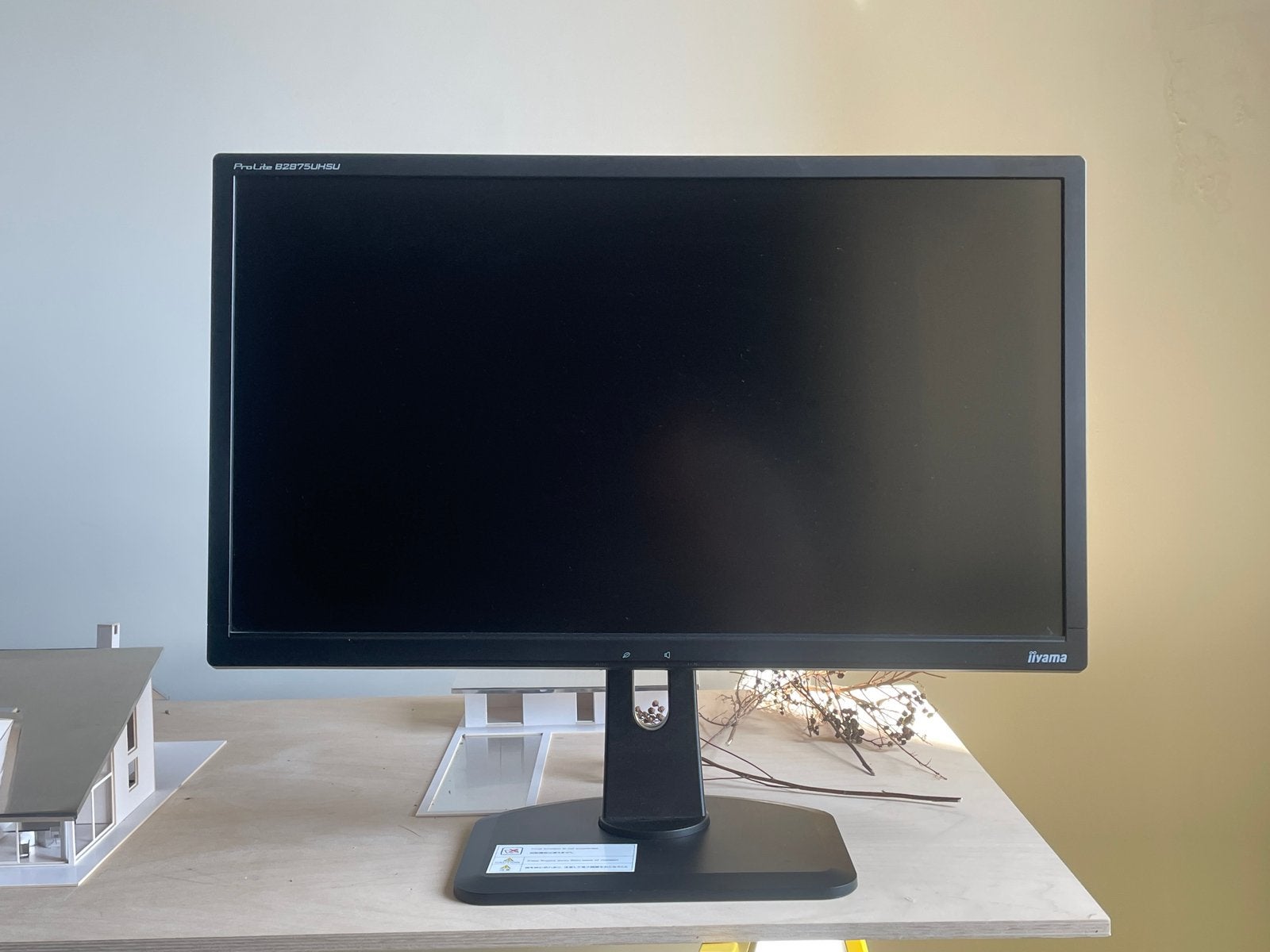 iiyama Prolite 4K UHD Monitor, Computers en Software, Monitoren, Ophalen, Gebruikt, HDMI, Ultra HD (4K)