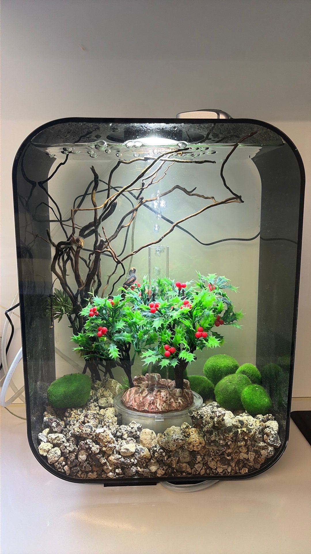 Aquarium Biorb 15 liter, Dieren en Toebehoren, Ophalen, Gebruikt, Overige merken, Gevuld zoetwateraquarium