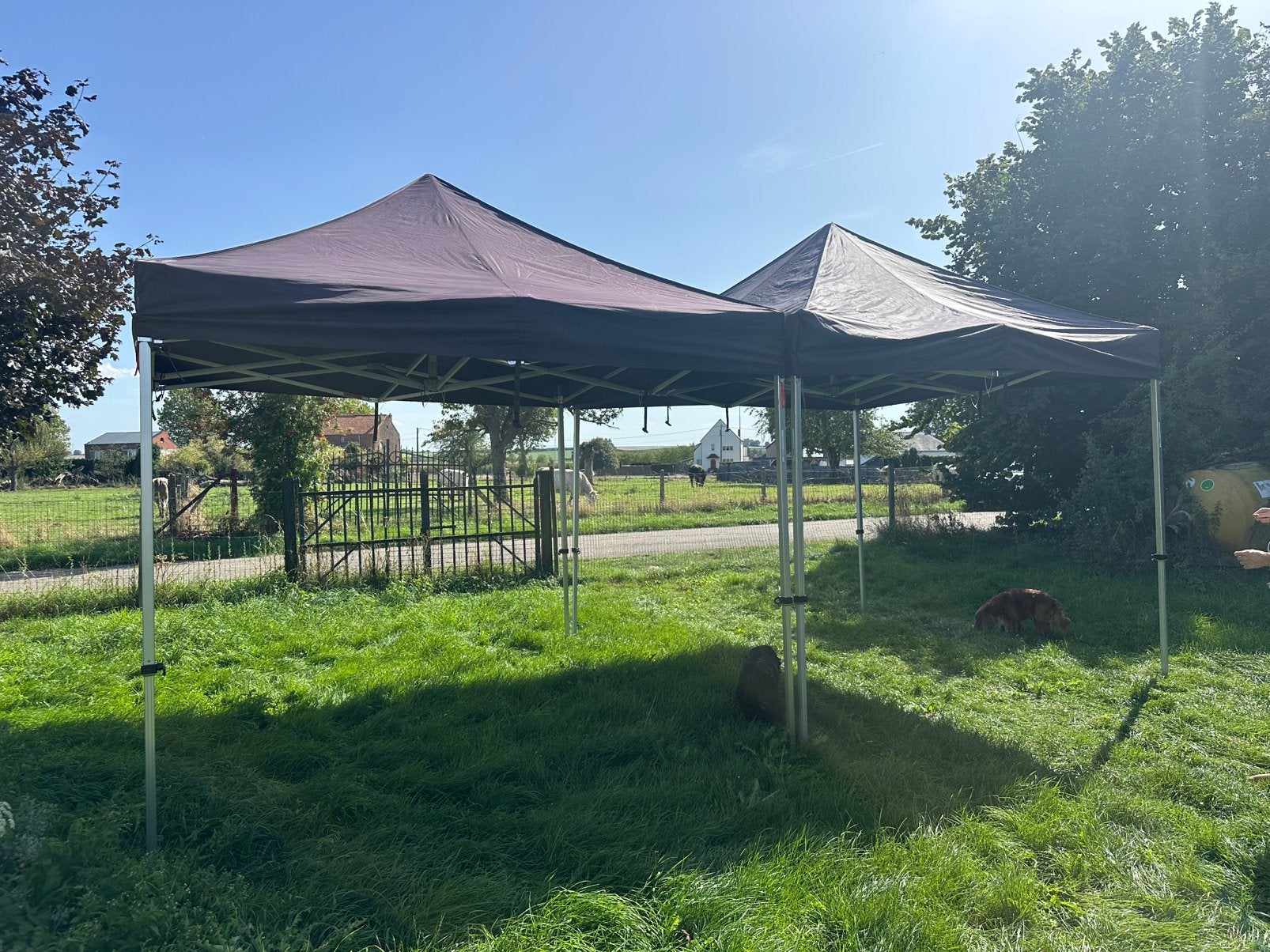 2 tentes pliantes/tentes de fête noires - ensemble complet, Jardin & Terrasse, Tonnelles, Enlèvement, Comme neuf