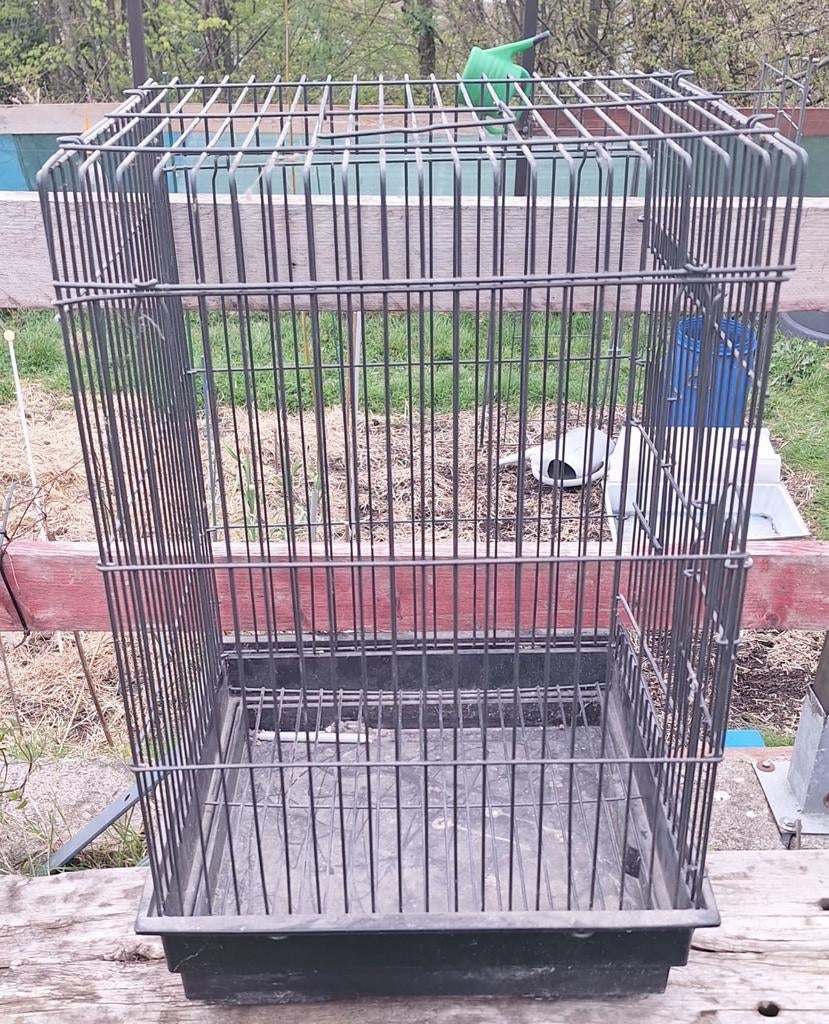 Cage Montana