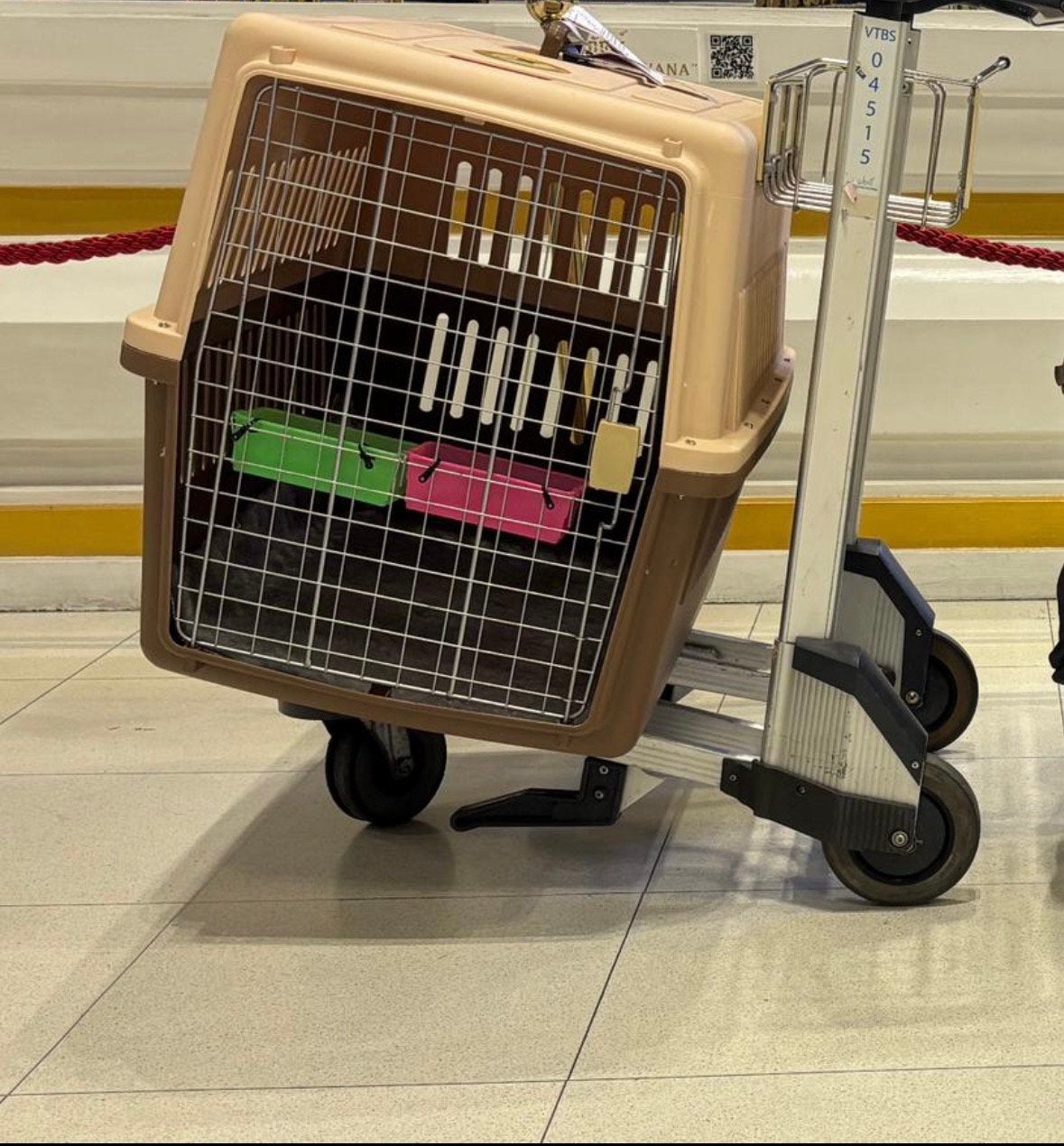 Transportbench hond, Enlèvement, Comme neuf