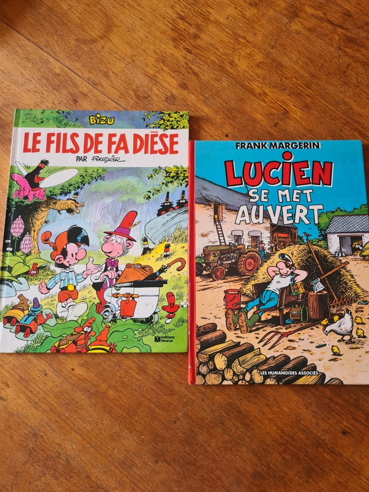 Lot de BD en néerlandais, anglais, français, Plusieurs BD, Enlèvement, Utilisé