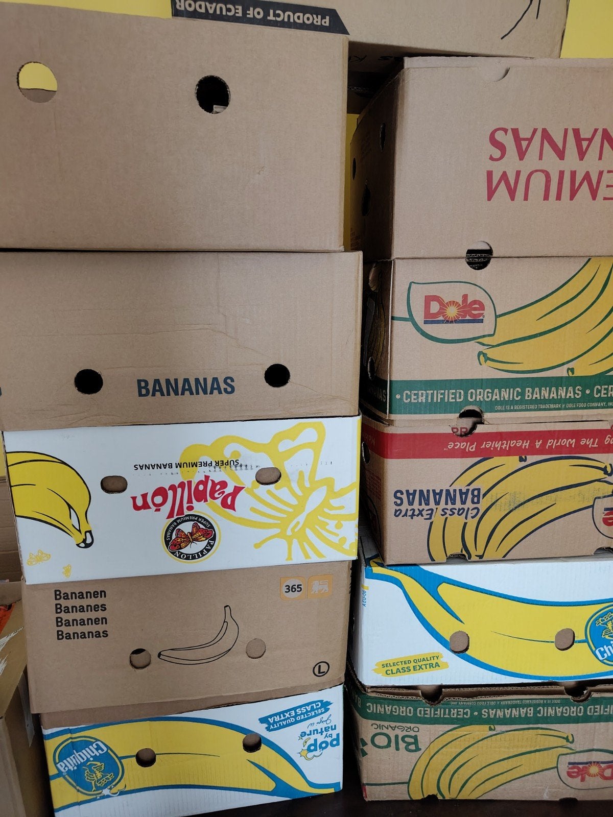 Bananendozen, Bricolage & Construction, Casiers & Boîtes, Enlèvement, Comme neuf, Boîte