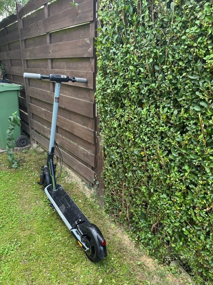 Trottinette électrique Argento, Enlèvement
