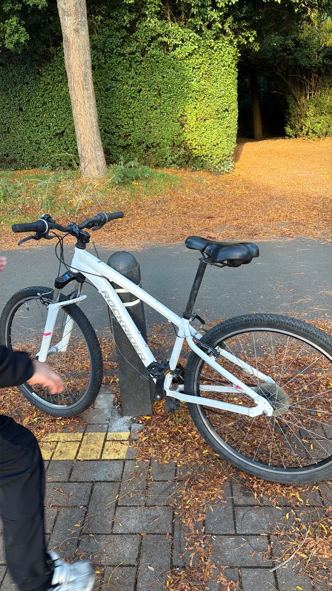 rockrider, Ophalen, Zo goed als nieuw