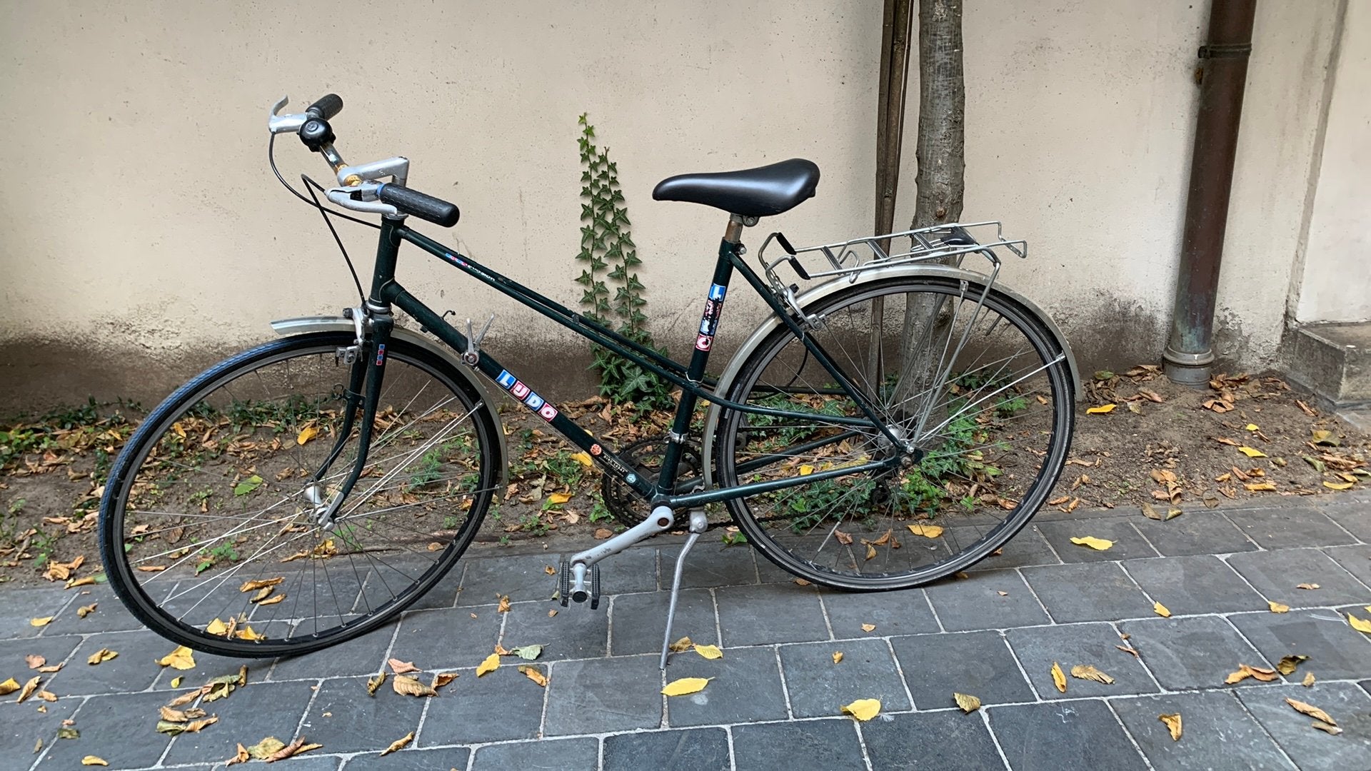 Vélo rétro Ludo pour femmes, Enlèvement