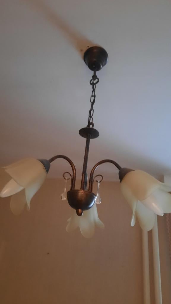 Lampen, Huis en Inrichting, Lampen | Kroonluchters, Ophalen