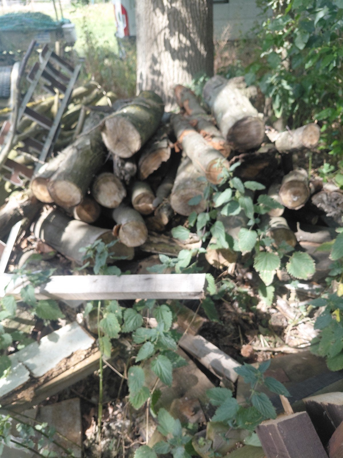 Brandhout, Tuin en Terras, Brandhout, Ophalen