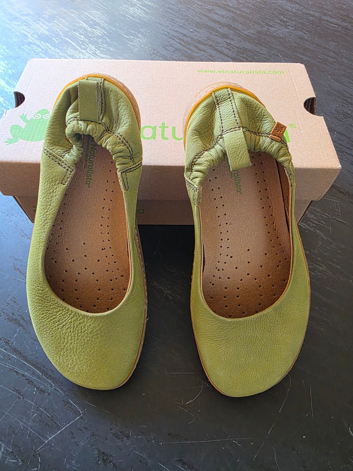 NIEUWE schoenen - El naturalista - maat 38, Vêtements | Femmes, Chaussures, Neuf, El Naturalista, Ballerines, Vert