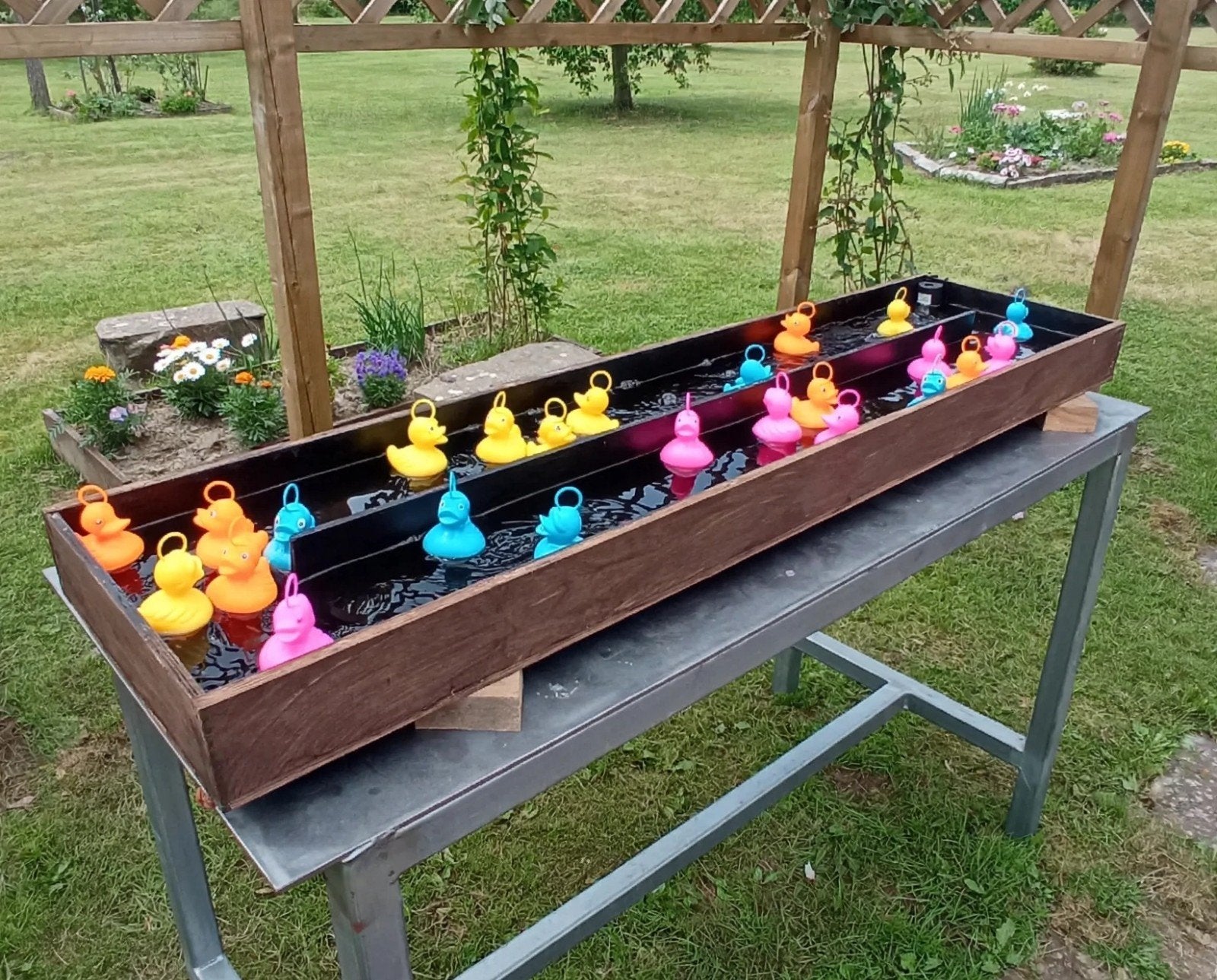 pêche au canard