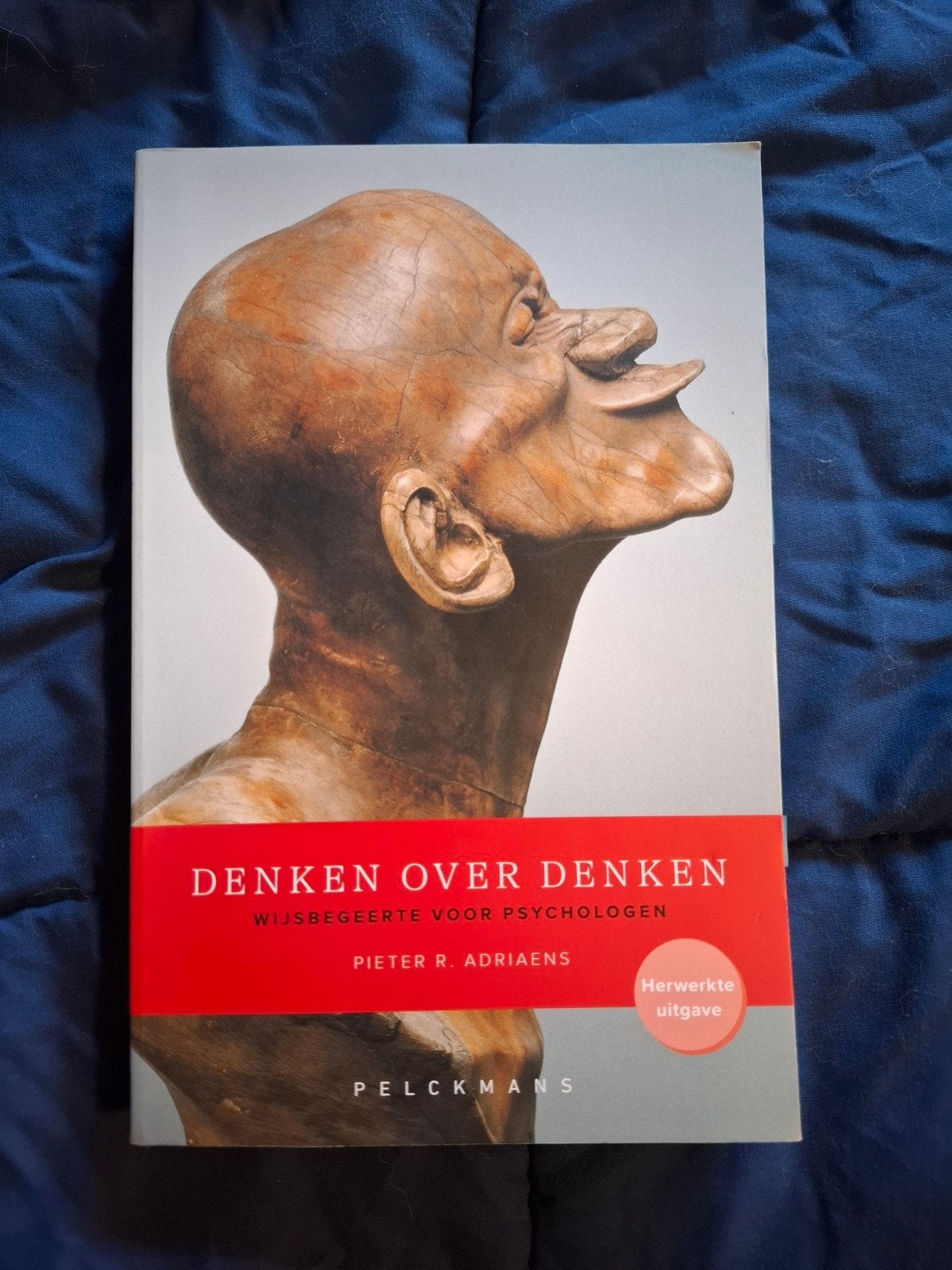 Denken over denken: Wijsbegeerte voor psychologen, Boeken, Ophalen