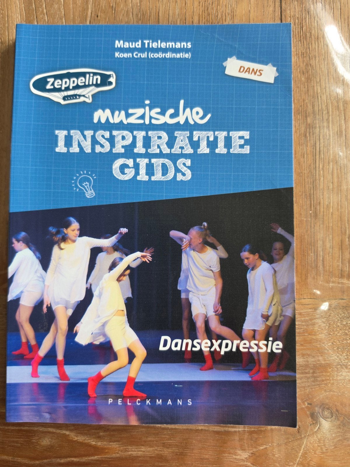 NIEUW: Maud Tielemans - Muzische Inspiratiegids - Dansexpres, Boeken, Ophalen, Muziek, Maud Tielemans