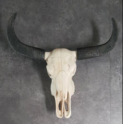 Waterbuffel western decoratie skull wand USA mancave kado, Verzamelen, Ophalen of Verzenden, Zo goed als nieuw, Dier