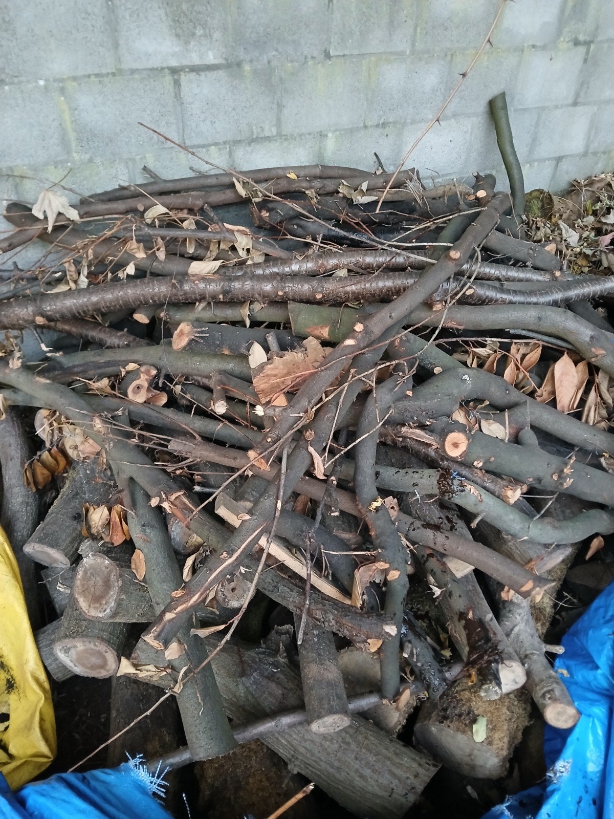 hout, Tuin en Terras, Ophalen
