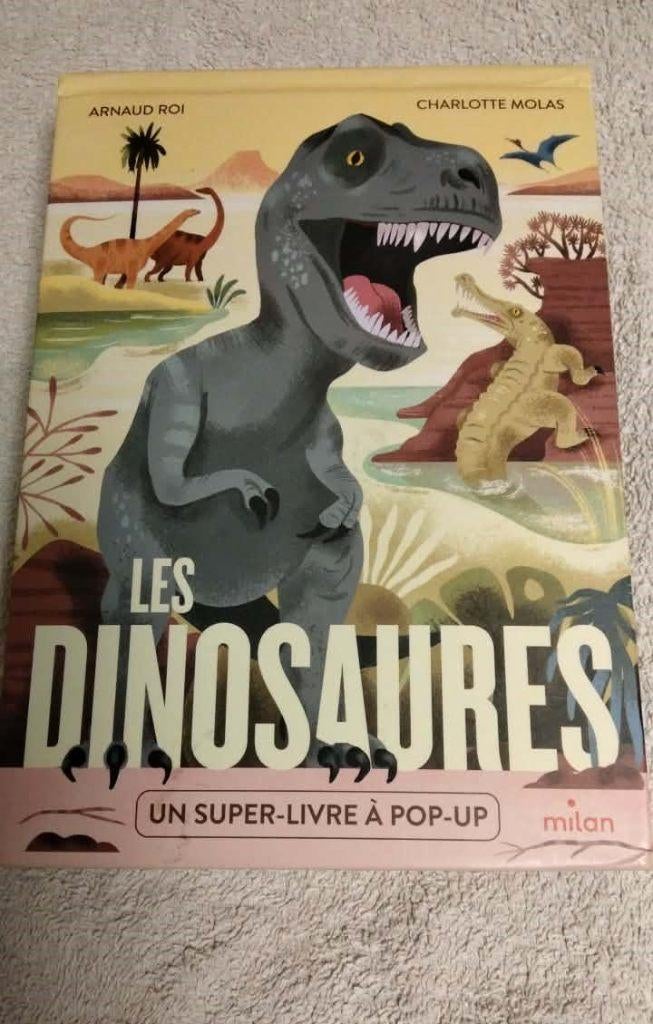 Livre Les dinosaures / Milan, Boeken, Ophalen of Verzenden, Gelezen, Non-fictie