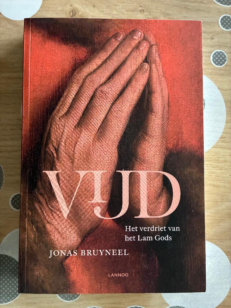 Vijd, het verdriet van het Lam Gods, Ophalen of Verzenden, Zo goed als nieuw