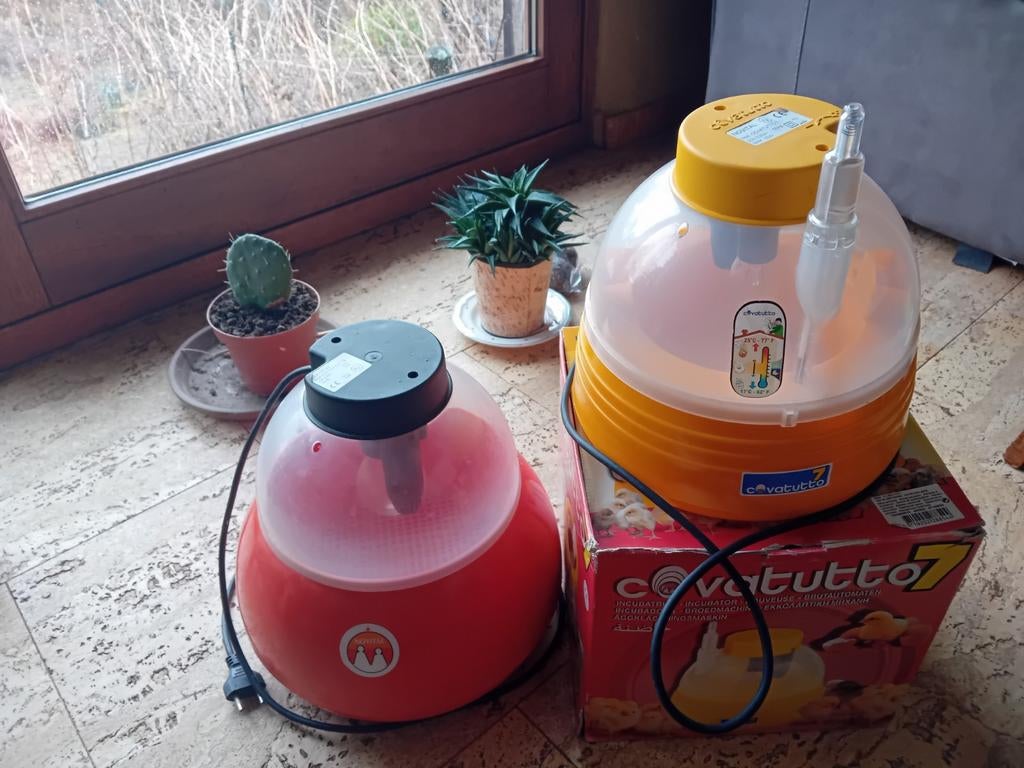 couveuse covatutto, Ophalen of Verzenden, Gebruikt, Broedmachine