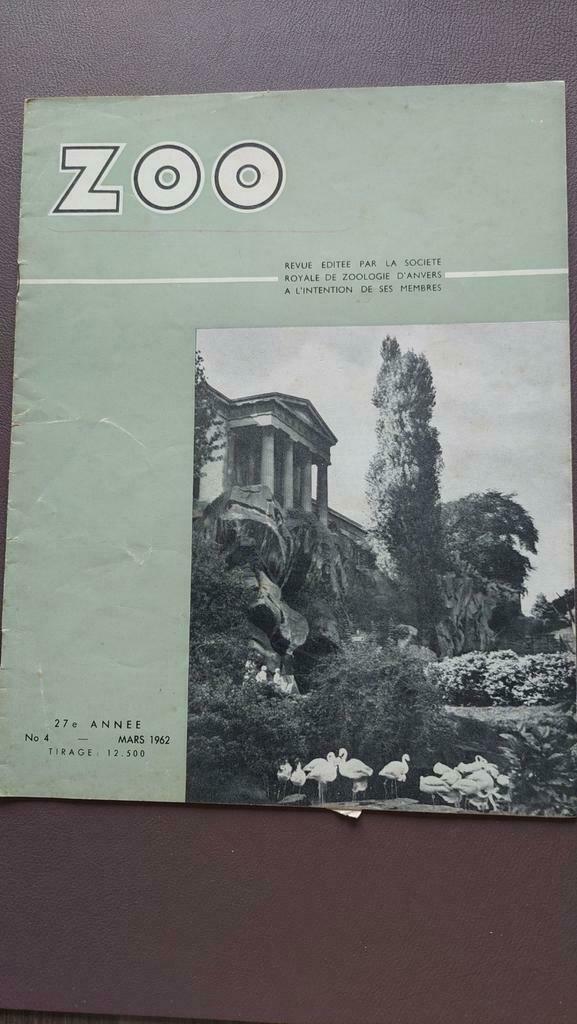 Zoo. Revue edité par la Société Royale De Zoologie d'Anvers, Boeken, Ophalen of Verzenden, Zo goed als nieuw