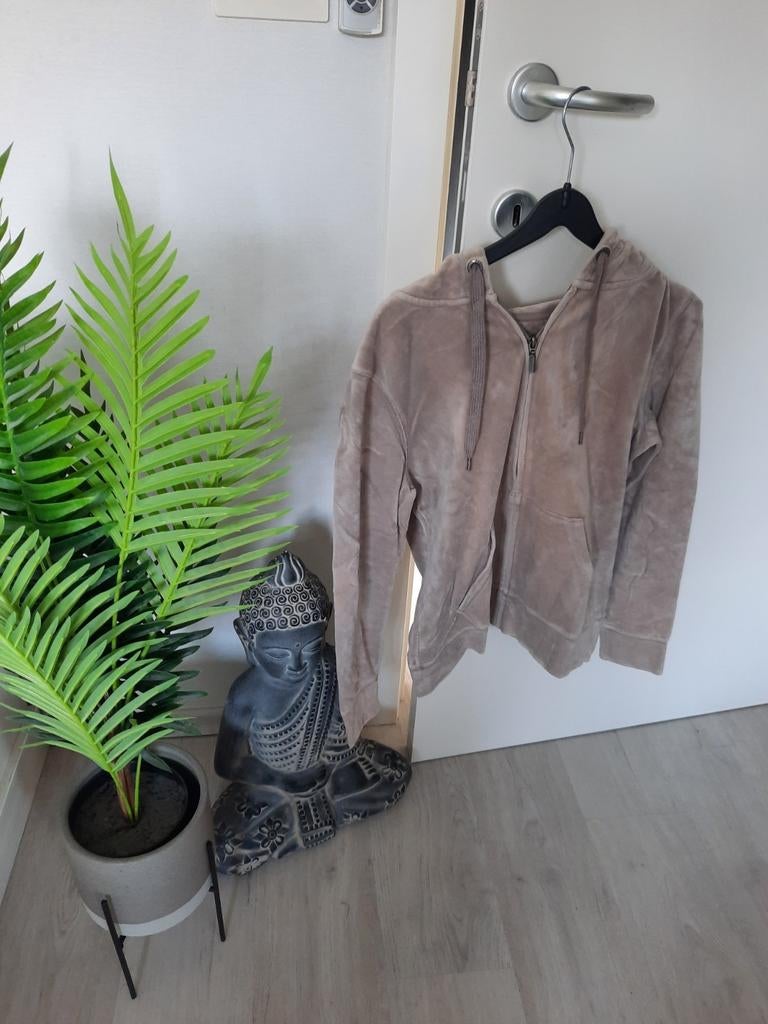 Sweat à capuche Yessiva Basics taille M, Vêtements | Femmes, Enlèvement ou Envoi