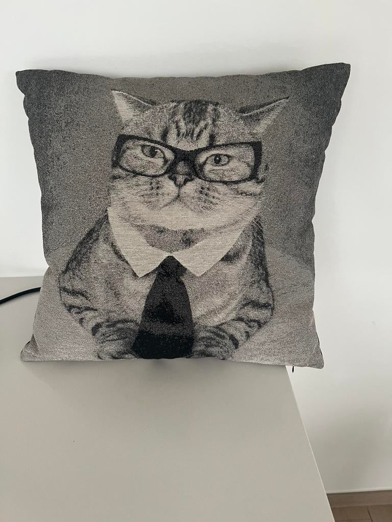 Kussen met kat/ €12, Enlèvement ou Envoi, Comme neuf, Noir