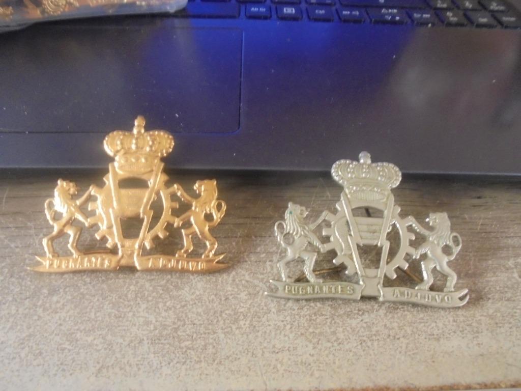 logisitek mutskenteken, Enlèvement ou Envoi, Armée de terre, Emblème ou Badge