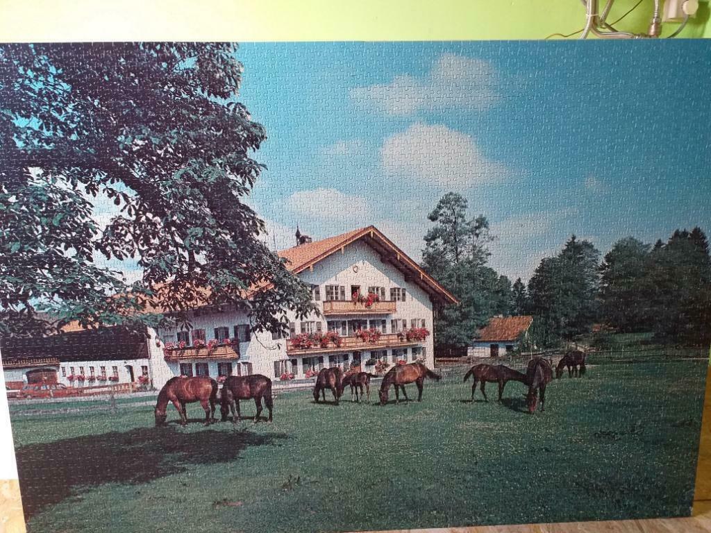 puzzel gelijmd, Ophalen, Meer dan 50 stukjes, Gebruikt