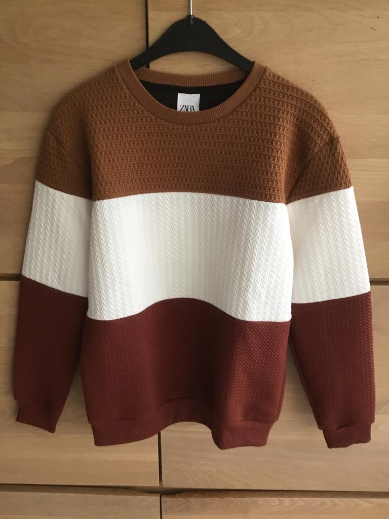 Pull/pull ZARA, Enlèvement ou Envoi, Autres couleurs, Comme neuf, Zara man