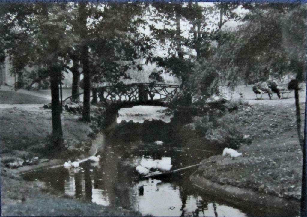 POSTKAART- HET PARK IN MARCHIENNE, Enlèvement ou Envoi, Non affranchie, Hainaut