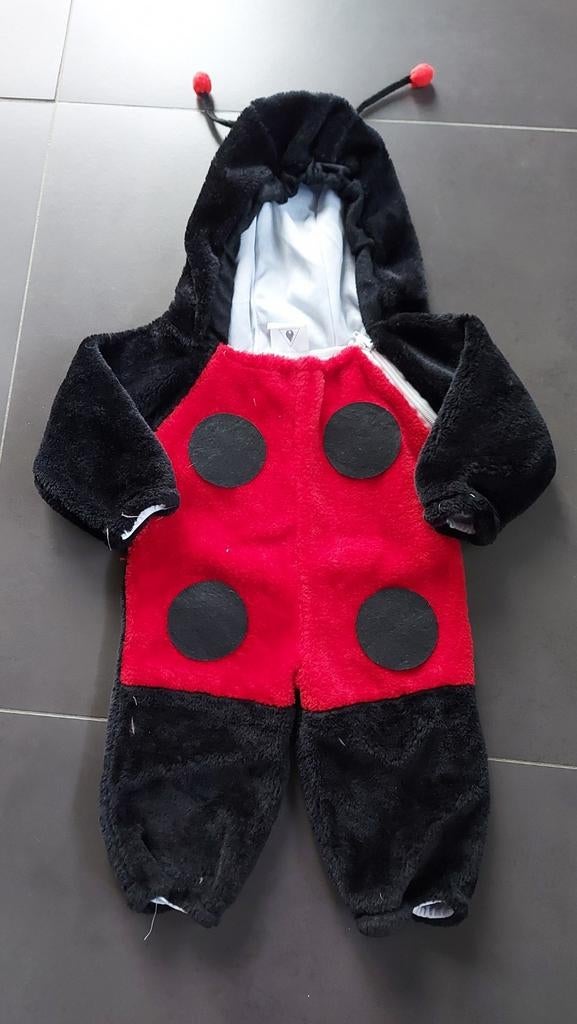 Déguisement carnaval coccinelle T 68-74, Enlèvement ou Envoi, Utilisé, 104 ou plus petit, Garçon ou Fille
