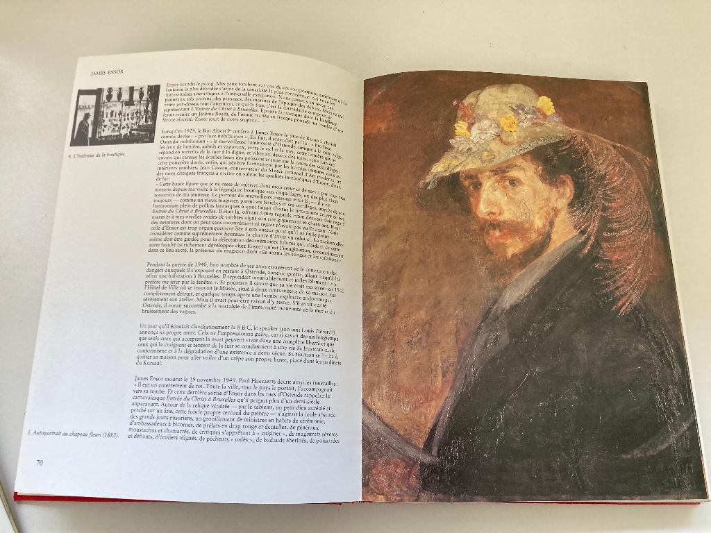 Des Maisons et des hommes( Ensor, Horta, Magritte, Verhaeren, Boeken, Kunst en Cultuur | Beeldend, Zo goed als nieuw, Schilder- en Tekenkunst