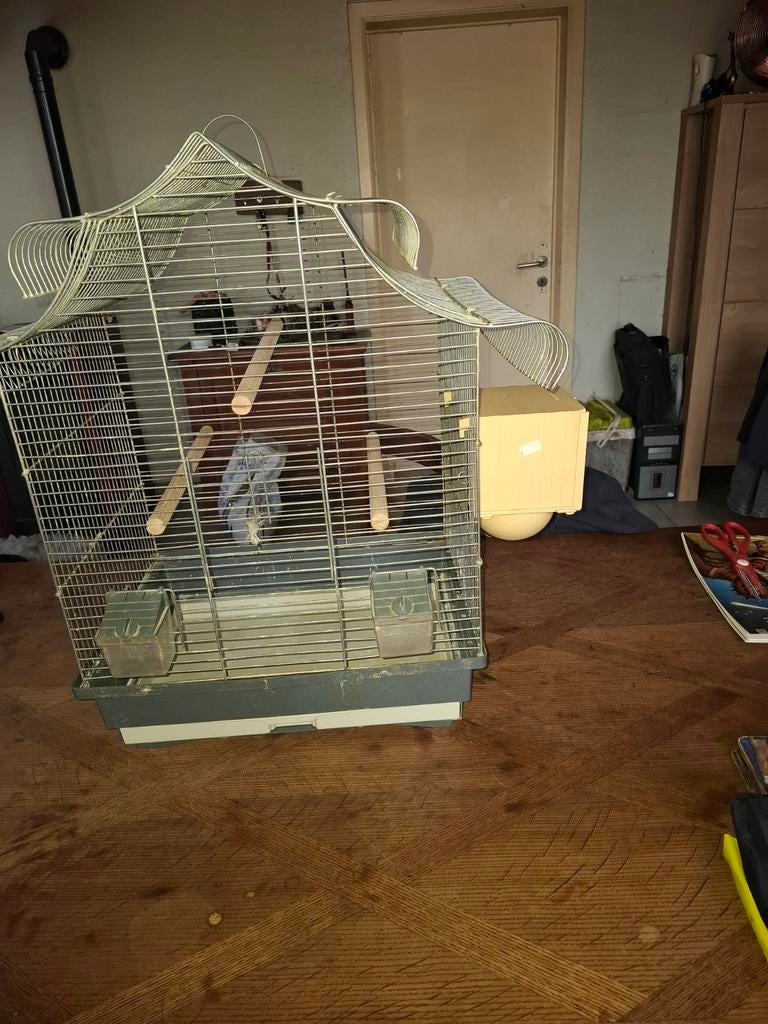 Vogelkooi, Ophalen, Vogelkooi