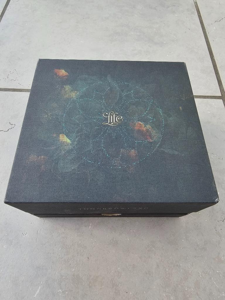 Tomorrowland - Treasure case/box zonder bandje, Collections, Enlèvement ou Envoi