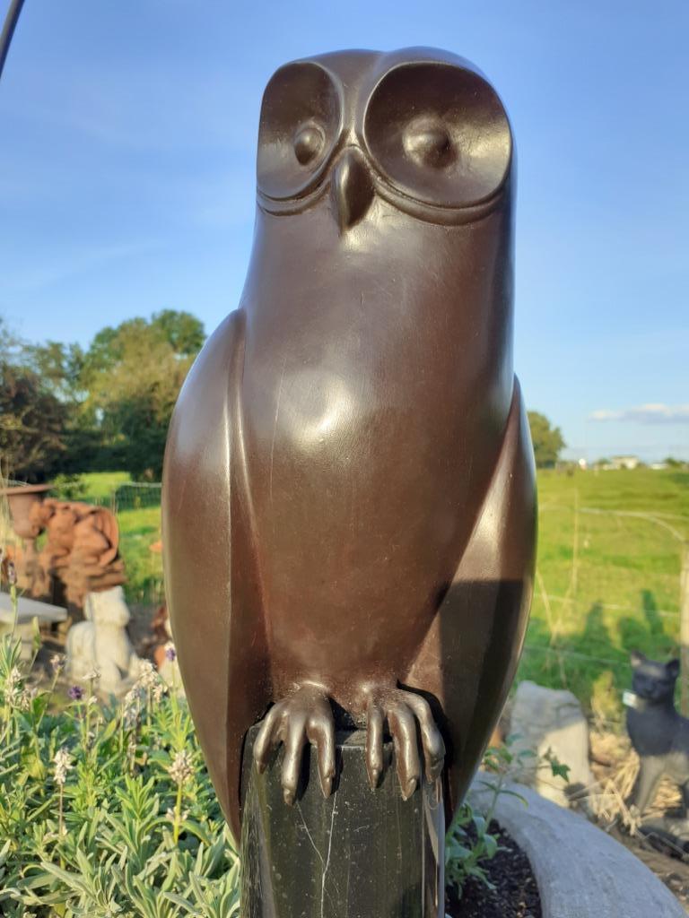 Superbe bronze animalier sur socle en marbre (la chouette), Enlèvement ou Envoi, Bronze