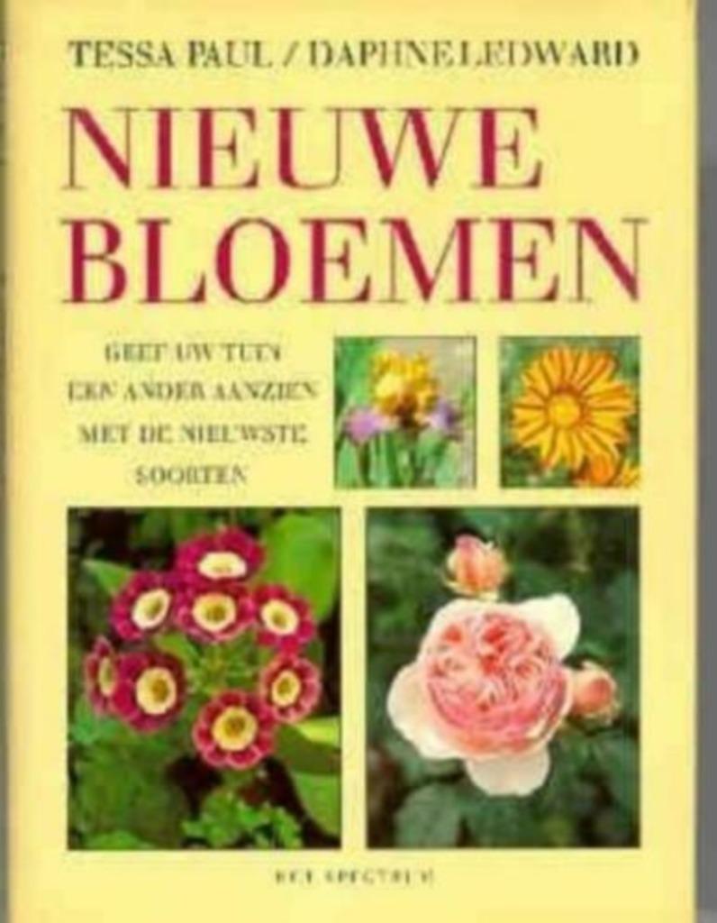 Nieuwe bloemen / Tessa Paul / Daphne Ledward, Enlèvement ou Envoi, Comme neuf