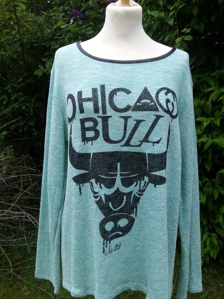 fijne trui grappige print stier Chicago Bull groen Nieuw, Enlèvement ou Envoi, Neuf, Taille 42/44 (L), Vert