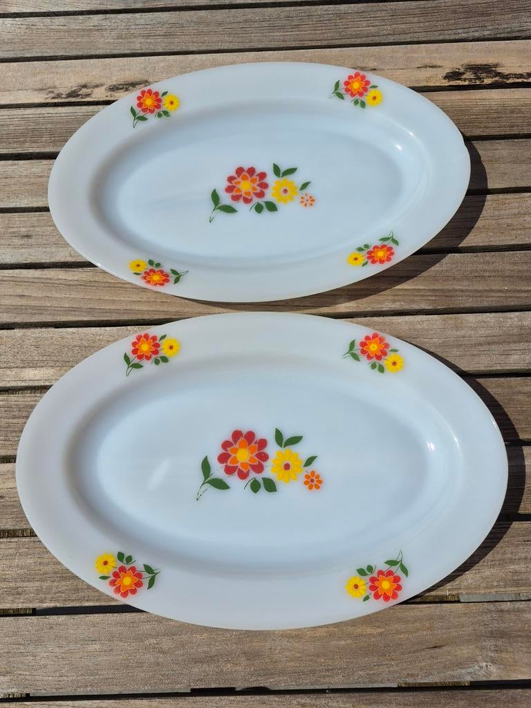 Arcopal France vintage schotels; samen €5, Ophalen of Verzenden
