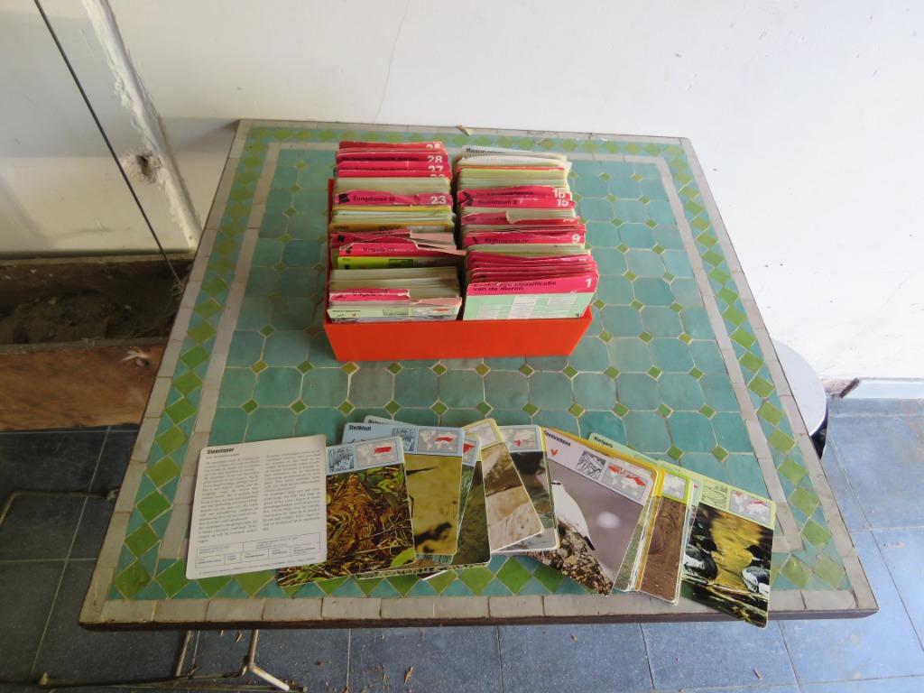 Set vintage educatieve steekkaarten dieren, Ophalen of Verzenden