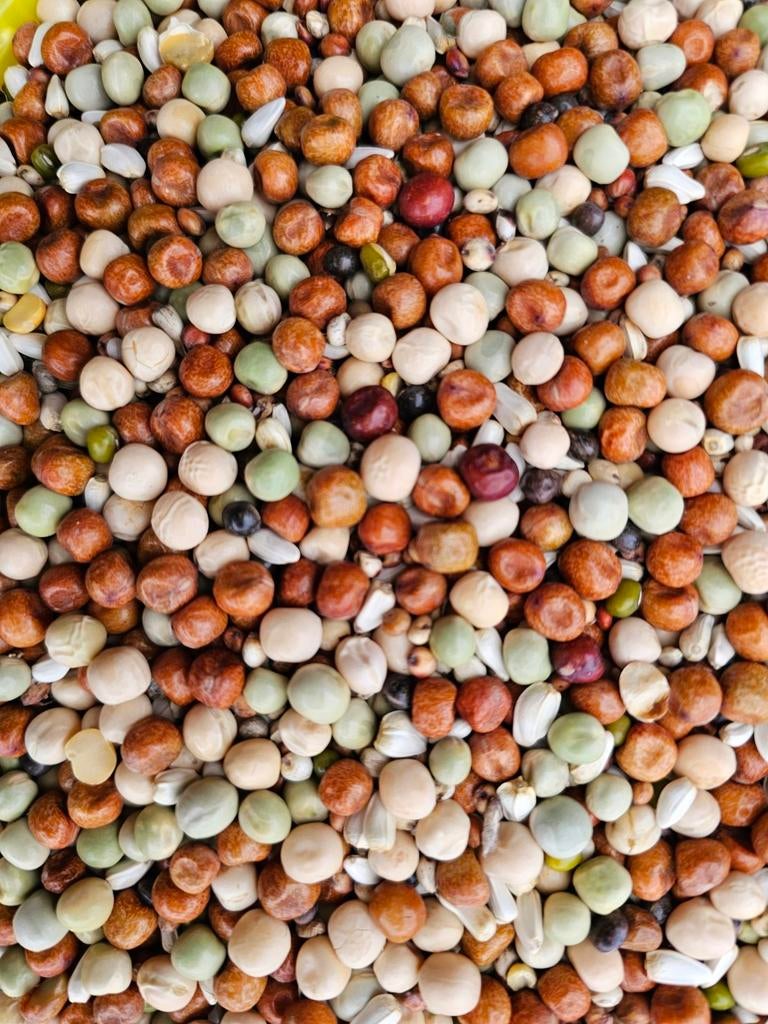 Mélange spécial Liège 1kg - Versele Laag, Enlèvement
