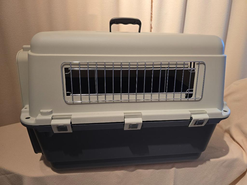 Reismand /Transportbox/ reisbench hond of kat, Enlèvement, Comme neuf