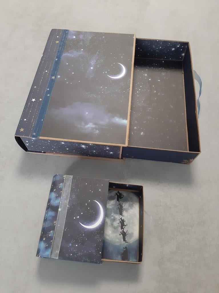 Boîtes de rangement, boîtes décoratives, coffrets cadeaux, 2, Enlèvement ou Envoi, Neuf