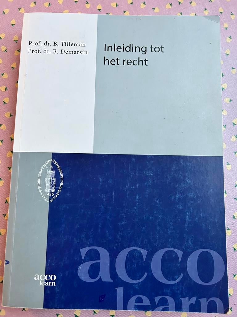 Bert Demarsin - Inleiding tot het recht, Ophalen of Verzenden, Zo goed als nieuw, Bert Demarsin; Bernard Tilleman