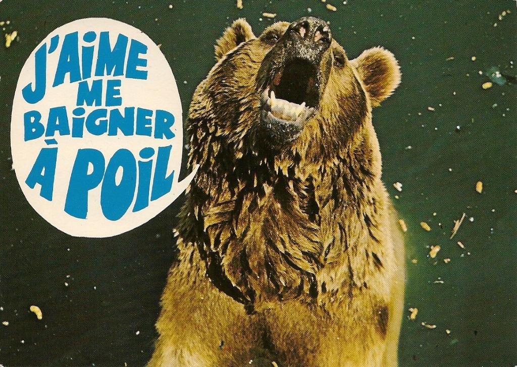 Carte postale ancienne « Animaux humoristiques », Enlèvement ou Envoi, 1960 à 1980, Non affranchie, Autres thèmes