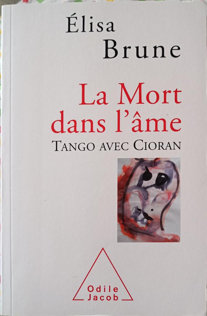 La mort dans l'âme : Cioran :  Elisa Brune : GRAND FORMAT, Boeken, Filosofie, Ophalen of Verzenden, Gelezen, Cultuurfilosofie