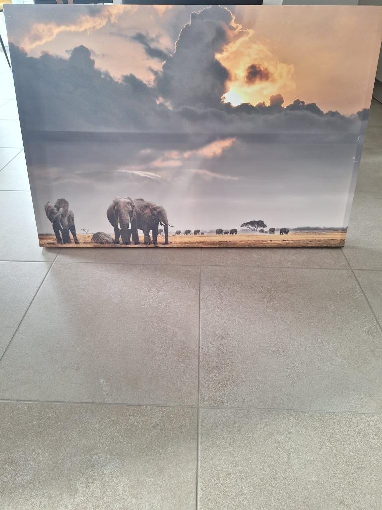 cadre safari, Ophalen, Gebruikt, 50 tot 75 cm, 75 tot 100 cm